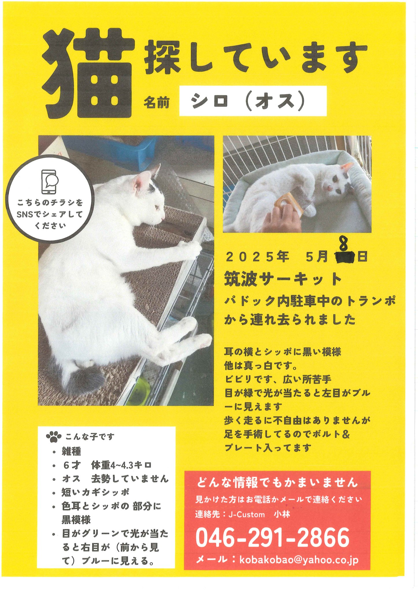 筑波サーキット on X: 
