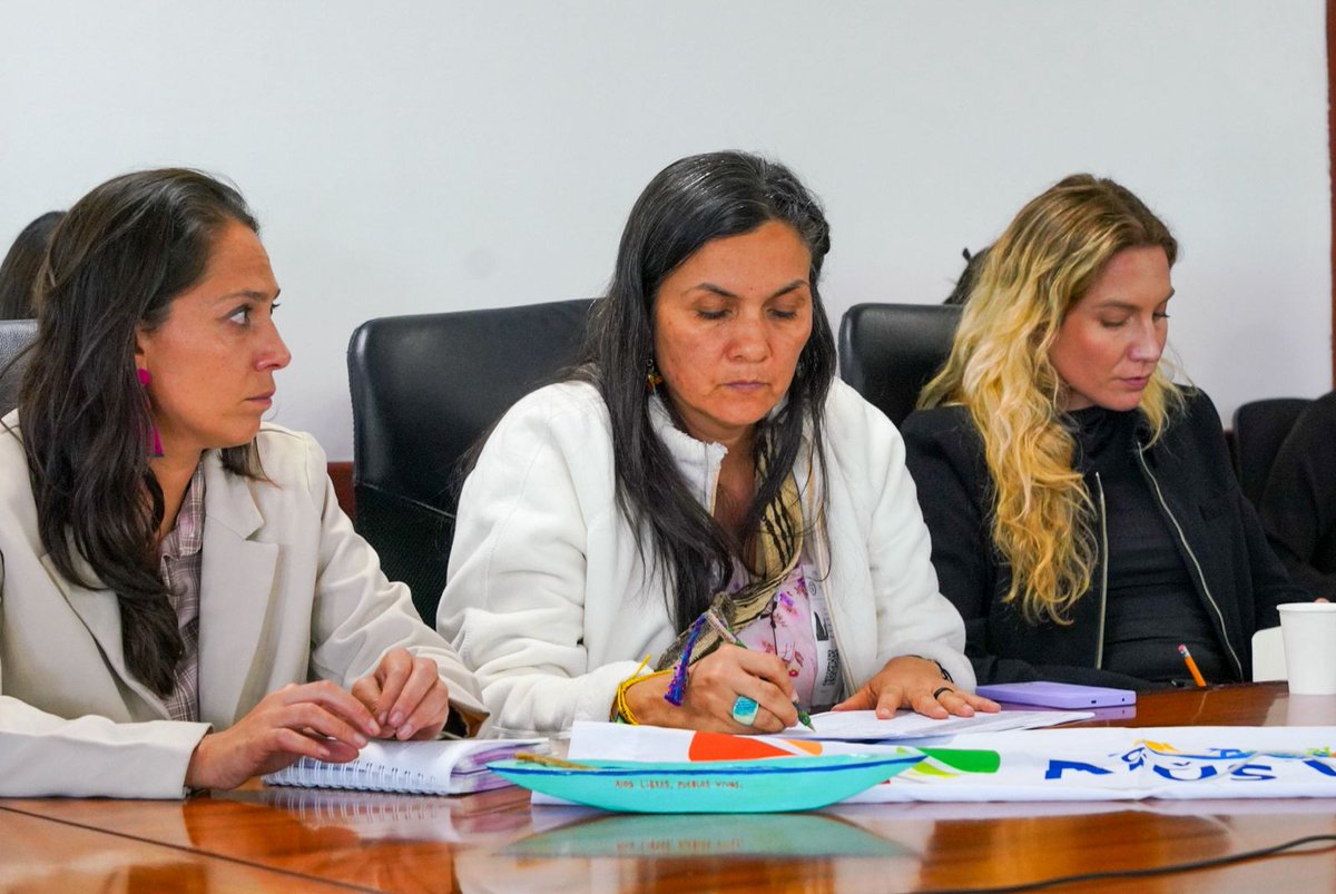 “Valoramos el avance del Gobierno Nacional. Son resultados concretos, no promesas. Desde el Huila, aportamos a la Reforma Agraria Integral con autonomía y en diálogo con la institucionalidad”: Jenniffer Chavarro de <a href="/Asoquimbo/">Asoquimbo</a>