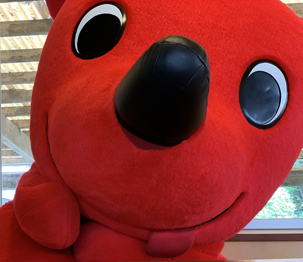 チーバくんとにらめっこしましょ、笑うと負けよ、あっぷっぷ！！