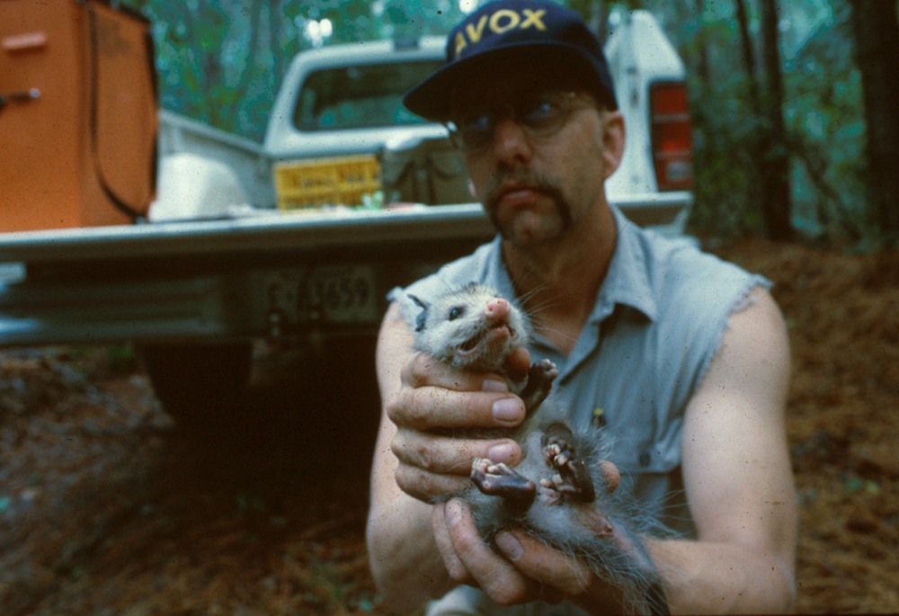 Alexander M. Wolf tweet media