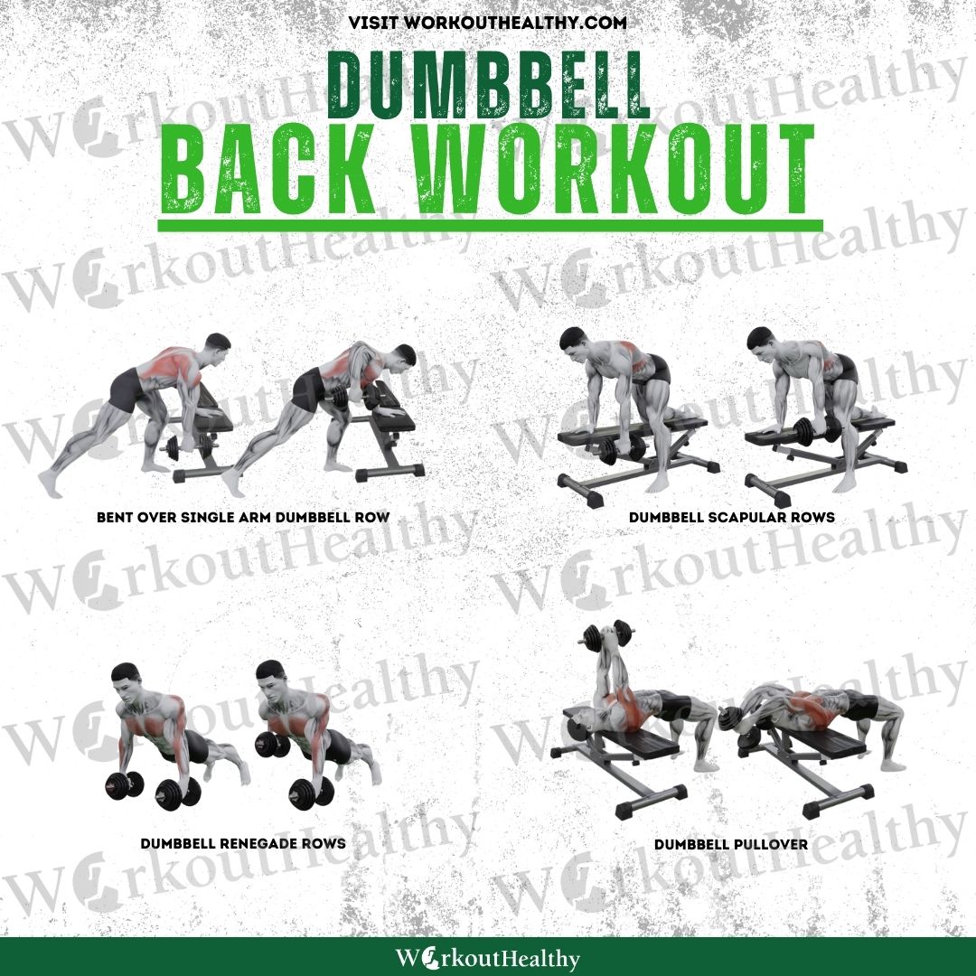 WorkoutHealthy's tweet image. 🔙Back to Back Workouts!
#backworkout #dumbbellworkout #backdayworkout #workoutplan