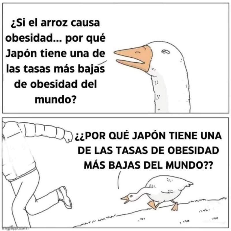 Enséñame de Ciencia (@ensedeciencia) on Twitter photo 