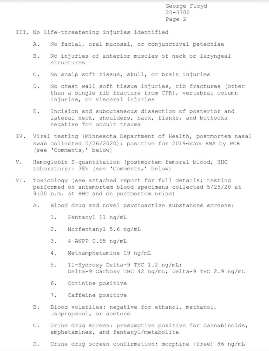 The Rabbit Hole tweet media