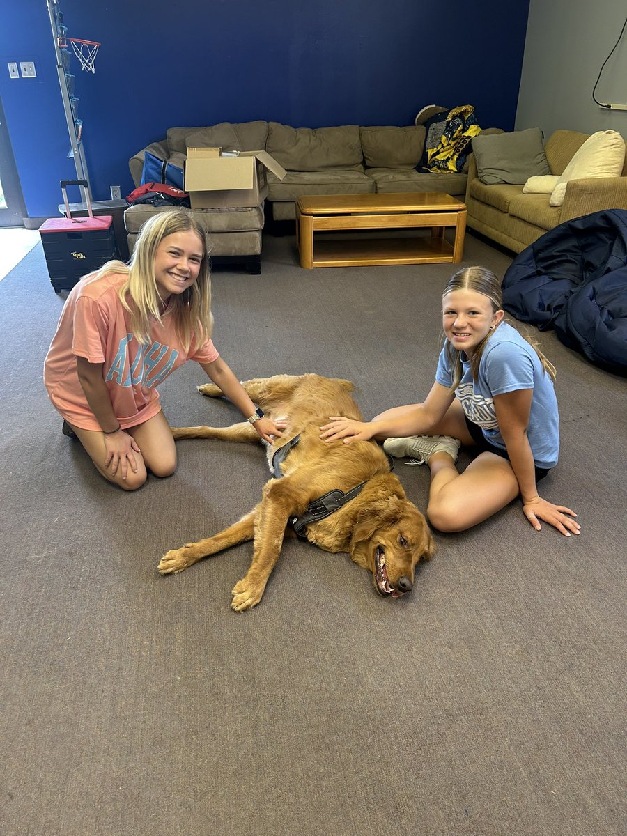 mirmarie18's tweet photo. For their final project of the animal behavior unit, Cheyenne and Selah developed a training protocol to teach my golden retriever, Simba, some new commands. They got creative and even taught him how to spin while seated! 😁 #emwolves https://t.co/O895qwKuIo