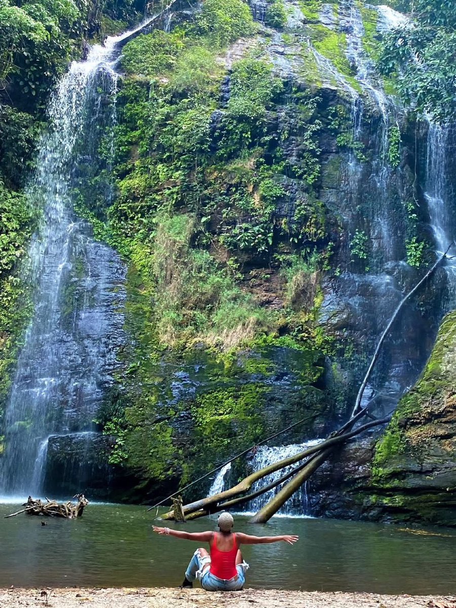 Visit Volta tweet media