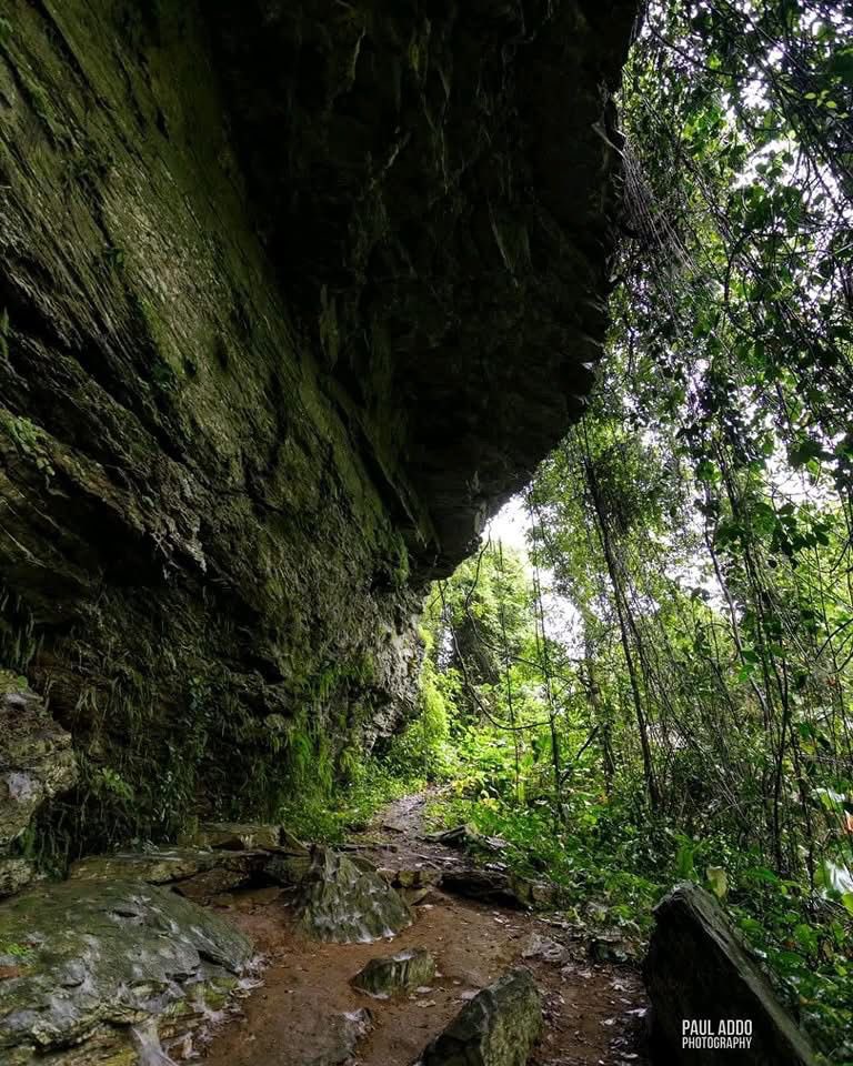 Visit Volta tweet media