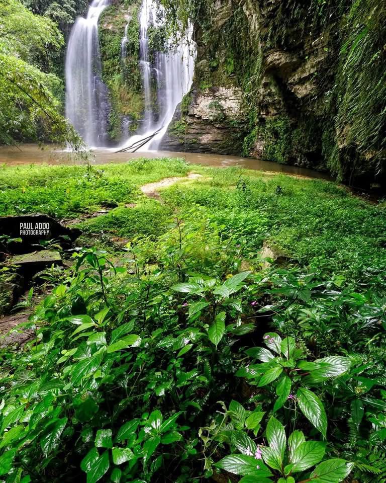 Visit Volta tweet media