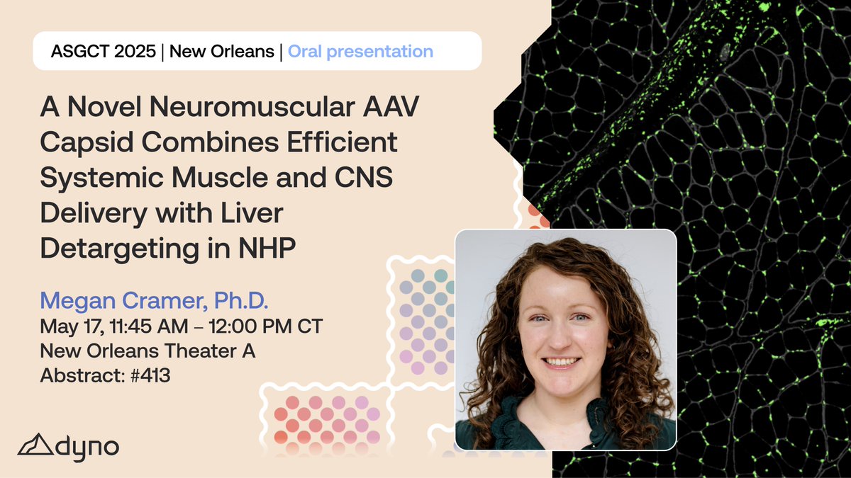 Dyno_Tx's tweet image. Join us this Saturday at #ASGCT25 for a presentation on our new vector for neuromuscular gene delivery, Dyno-3hv: the first capsid of its kind optimized for highly efficient delivery to the multiple tissues affected by neuromuscular disorders, including heart, skeletal muscle and…