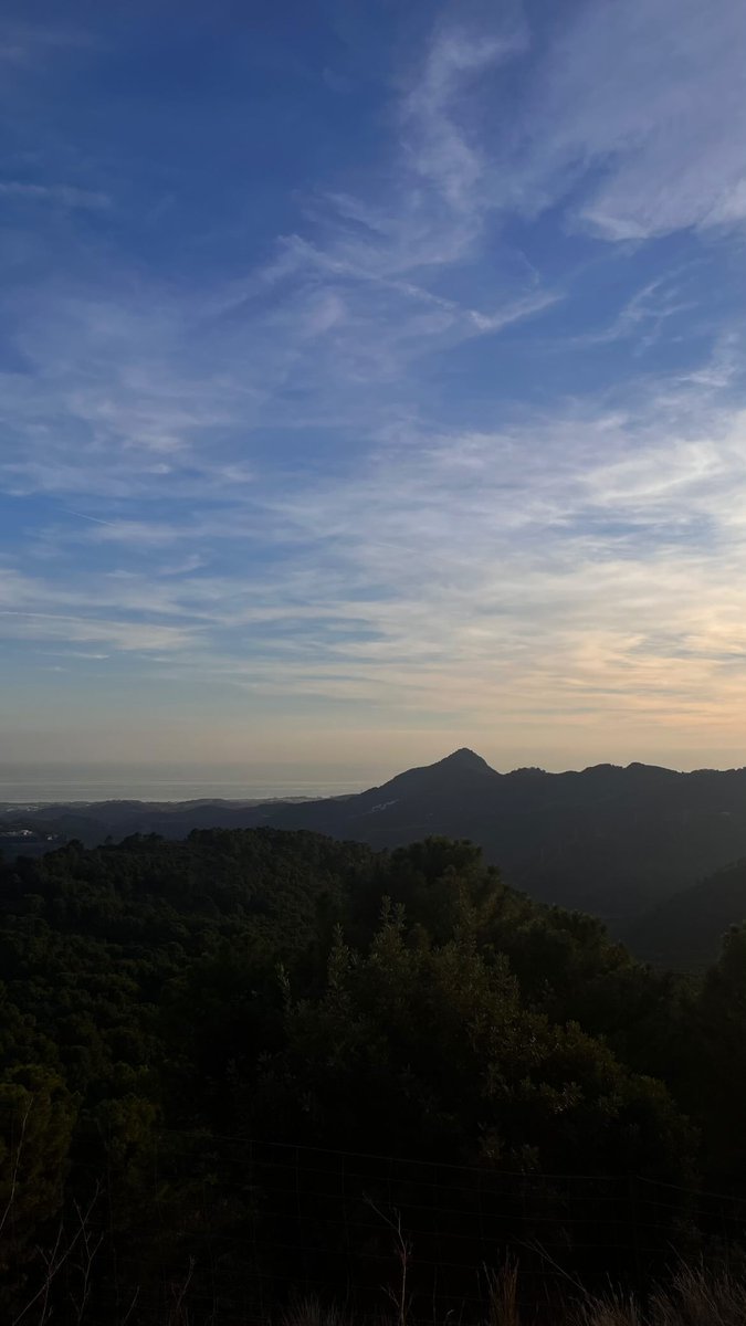 TheApolloSerene tweet media