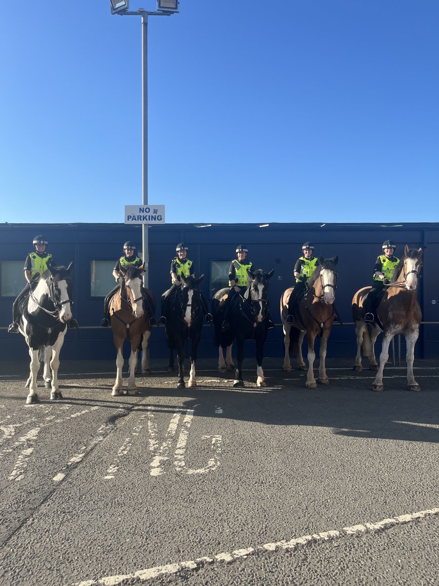 Police Scotland Horses (@psoshorses) on Twitter photo Tonight we have PH’s Dyce, Harris, Elgin, Strathaven, Eyemouth and Jura on patrol at Ibrox, with PH Dyce managing to squeeze in a quick snooze in the sun before attending tonight’s match <a href="/RangersFC/">Rangers Football Club</a> Tonight we have PH’s Dyce, Harris, Elgin, Strathaven, Eyemouth and Jura on patrol at Ibrox, with PH Dyce managing to squeeze in a quick snooze in the sun before attending tonight’s match <a href="/RangersFC/">Rangers Football Club</a>
