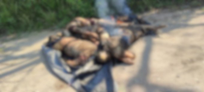 SolanoJess's tweet photo. #MacabroHallazgo
Macrabo hallazgo en Cárdenas, Tabasco. Abandonan los cuerpos de cuatro personas en un camino de terracería, a los que pretendieron incinerar. Vecinos ya dieron parte a las autoridades. https://t.co/q0BBJT8Whs