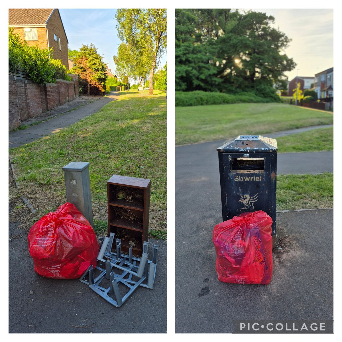 Kittylitterpicker 🏴 tweet media