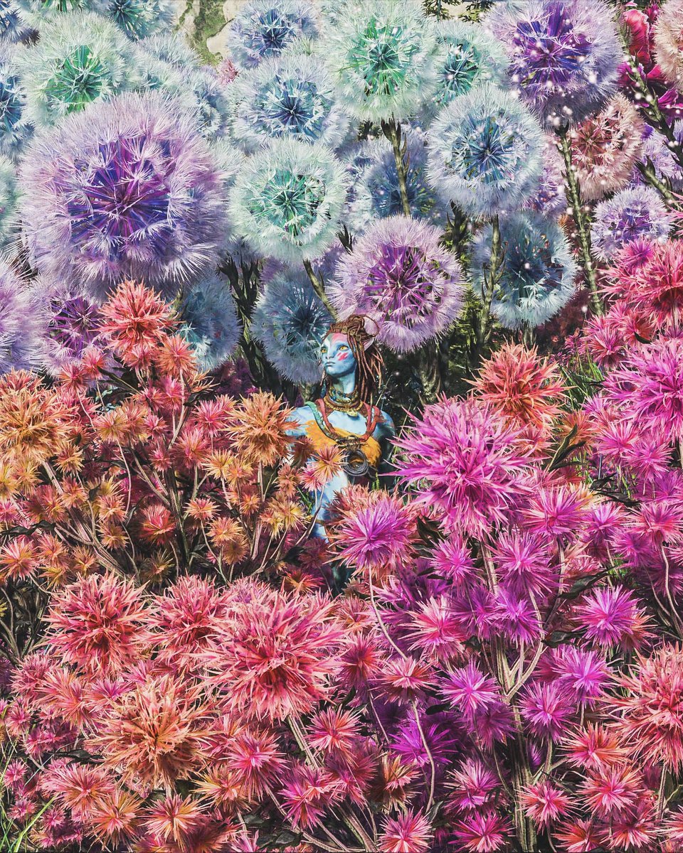 Avatar: Frontiers of Pandora

#VGPWednesday #ArtoftheC01 #TPMFlowers #AvatarFrontiersOfPandora #VirtualPhotography