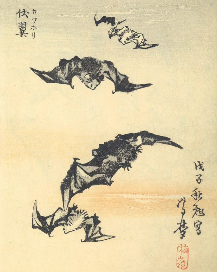 archaeologyart's tweet photo. Flying Bats, a woodblock print by Kono Bairei, Japan, late 19th century AD. https://t.co/PVUPEVMlMT