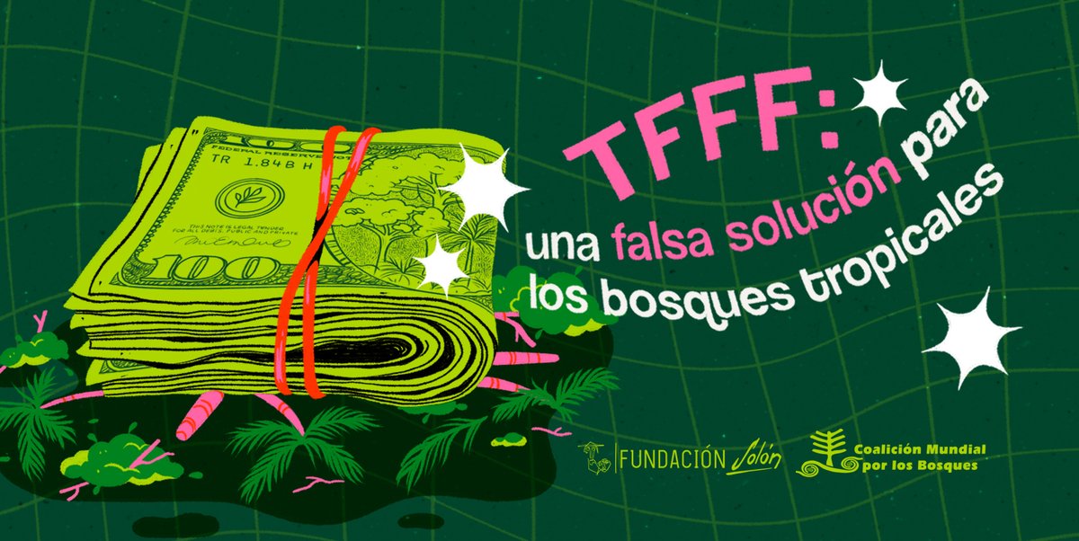 El TFFF se propone pagar anualmente 4 dólares por hectárea a mil millones de hectáreas de bosque tropical repartidos en 72 países según el listado 

 fundacionsolon.org/2025/05/14/le-…
