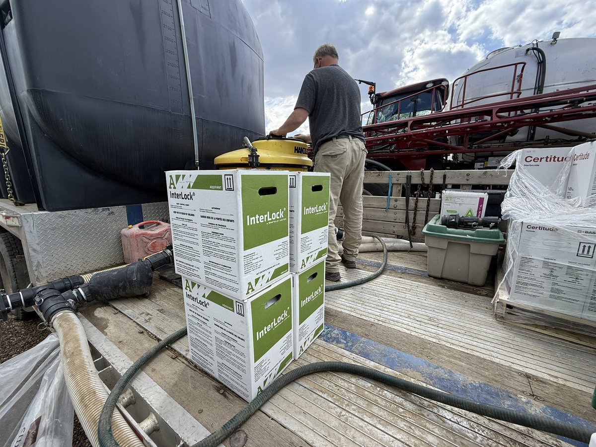 Peas 🫛 ✅
Wheat 🌾 ✅
Oats 🌾 ✅

Now canola 🛢️