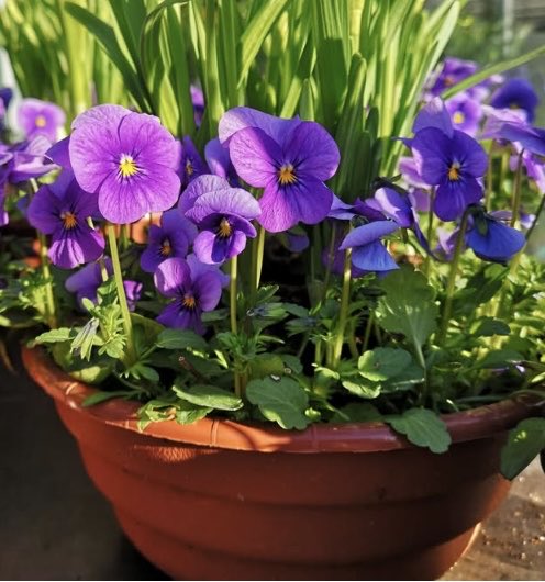 Synttärionnea, Ekke ☀️
<a href="/Ekke1505/">Ekke</a>