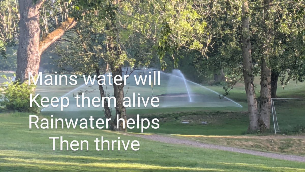 Our new mantra for the ongoing  questions 👍
#greenkeeper #golf