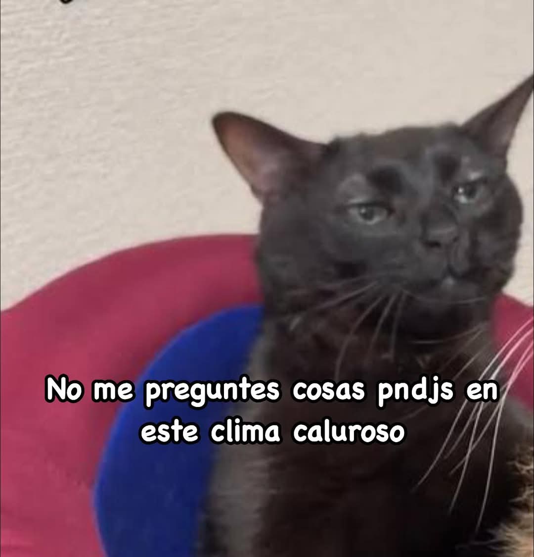 suri19s's tweet photo. 🙄🥵 #calor #Miercoles #vibes #EdoMéx no me estén molestingando!! https://t.co/mVoCy3u49P