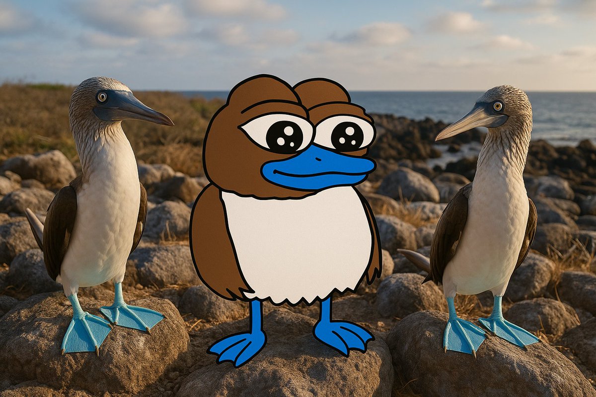 the booby gang