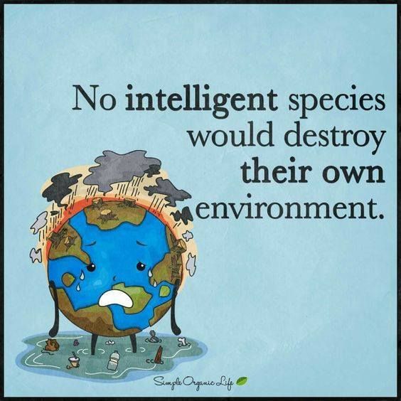 Kamashaazi16's tweet image. #SaveTheEnvironment