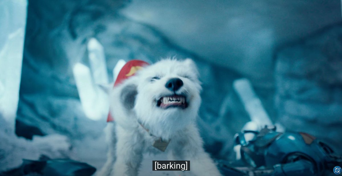 Me declaro fan no. 1 de Krypto en la nueva película de #Superman 😍