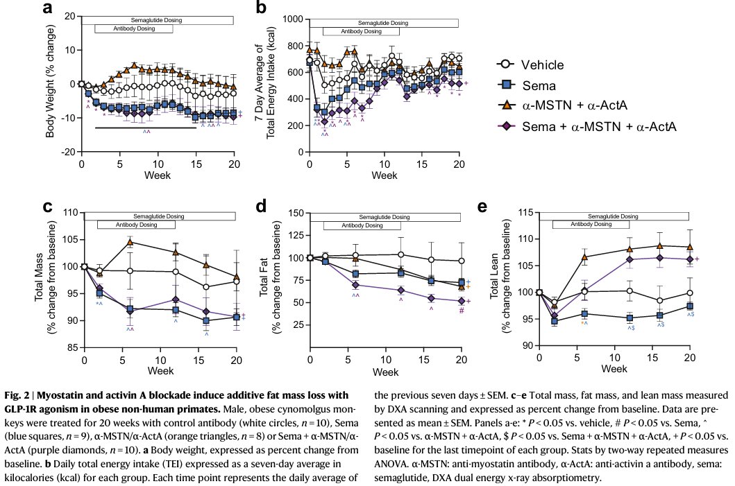 DrMyohead's tweet image. GDF8 and activin A blockade protects against GLP-1–induced muscle loss while enhancing fat loss in obese male mice and non-human primates
doi.org/10.1038/s41467…