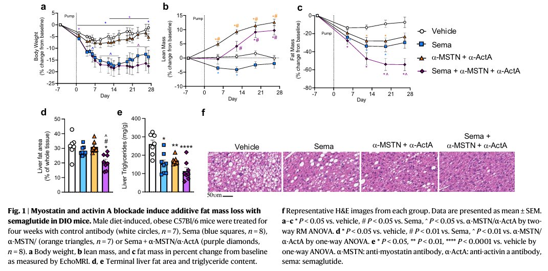 DrMyohead's tweet image. GDF8 and activin A blockade protects against GLP-1–induced muscle loss while enhancing fat loss in obese male mice and non-human primates
doi.org/10.1038/s41467…