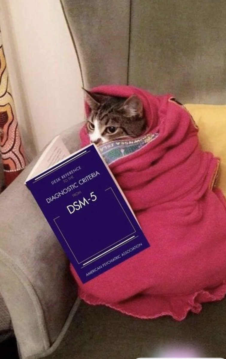 emedemireia's tweet image. no sé si creo en el destino, pero sí creo que este es mi camino