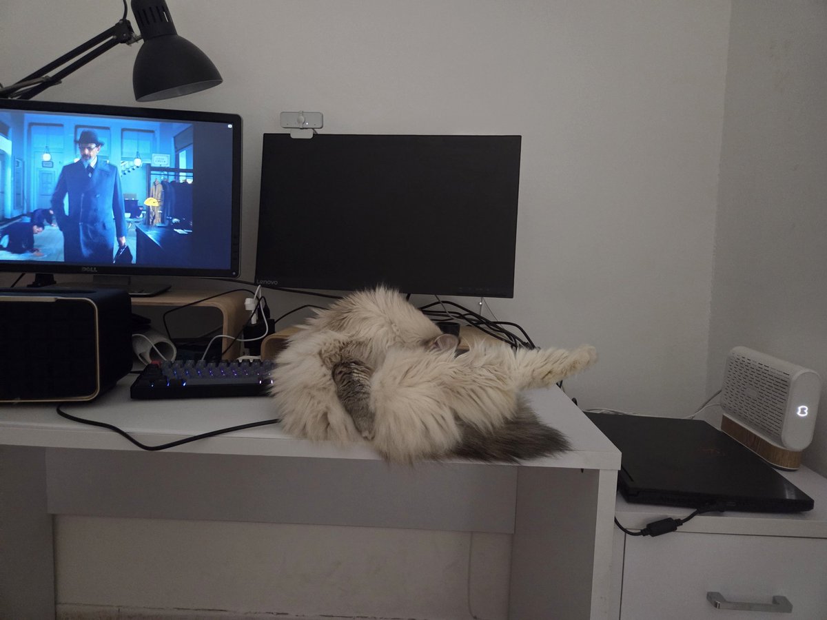 Оцените эту идеальную хобу 😻