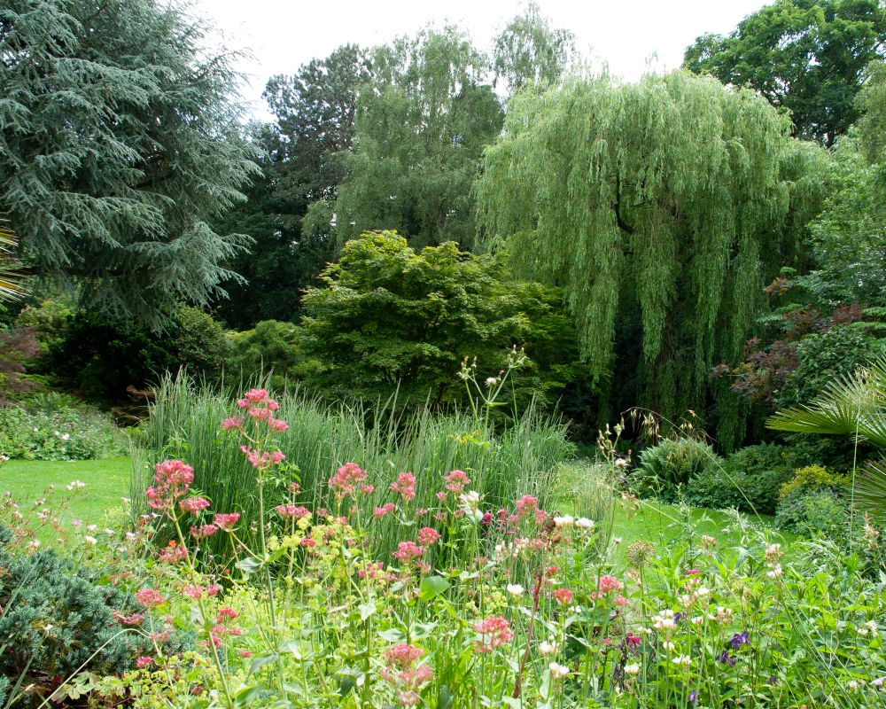Counting down.... to SHEEN OPEN GARDENS! Sunday June 1st - 1pm-6pm. Here's a sneak peek of some of the 20 FABULOUS gardens on show!  Tickets only £10, free for children.  Details/tickets available now on our website: fishhelp.org.uk All proceeds to FiSH Neighbourhood care