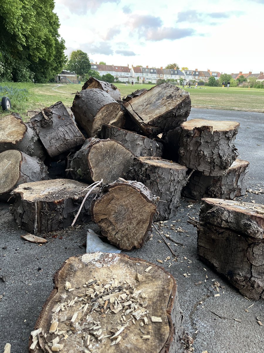 FFishponds's tweet image. An evening walk in Fishponds Fields. The logs have arrived for the new log pile and a 100 metre track has appeared 🏃🏽 #tooting