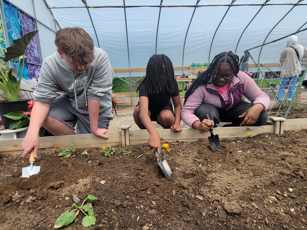 Stephanie Francis (@mrsfrancisnsd) on Twitter photo 8th period had a lot of questions for Miss Ash in the Greenhouse! <a href="/NorthgateProud/">Caroline Johns</a> <a href="/NorthgateMiddle/">Northgate Middle School</a> 8th period had a lot of questions for Miss Ash in the Greenhouse! <a href="/NorthgateProud/">Caroline Johns</a> <a href="/NorthgateMiddle/">Northgate Middle School</a>