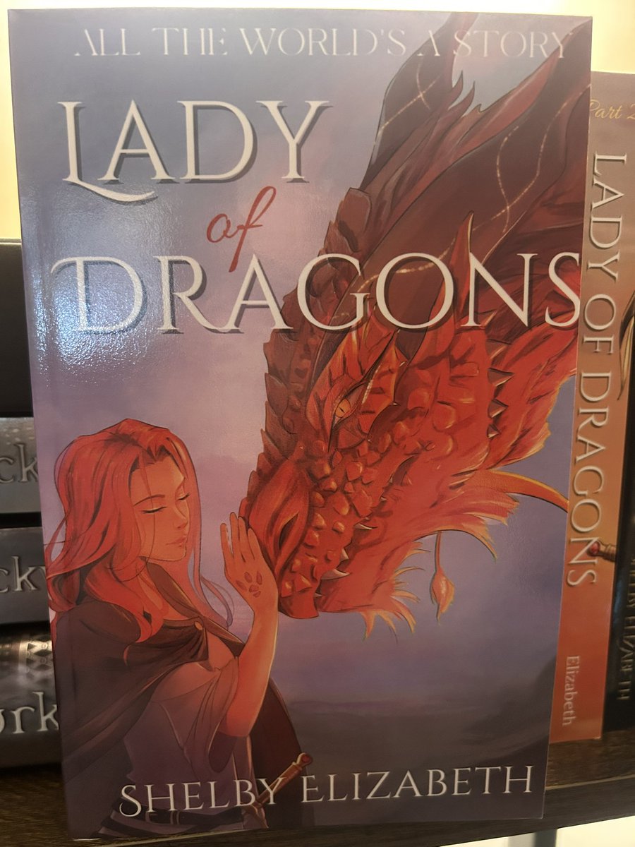 What about a book where dragon-k1lling mages rule the kingdom, so knights made a hidden sanctuary to protect the remaining dragons?
