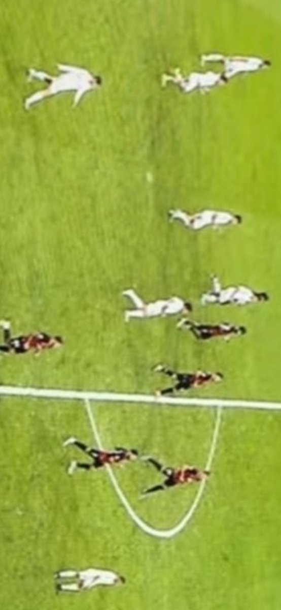 𝕋𝕠𝕞 tweet media