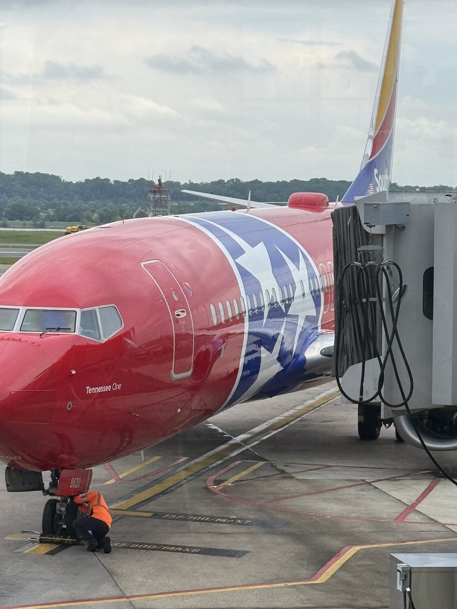 Rastro88's tweet image. About to add another one to the list!!! I need an official punch card from @SouthwestAir for all the different liveries.  Anyway, TennesseOne looks beautiful and we are about to board #3934 DCA-DAL have a wonderful evening all!
#planegeek
