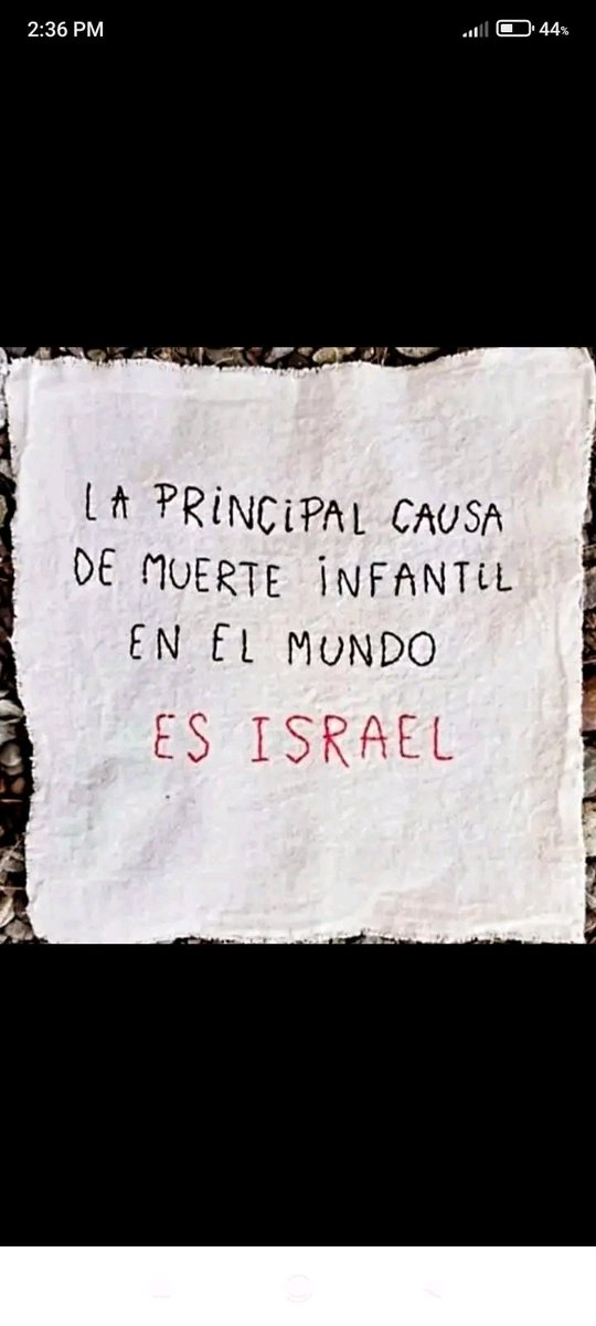 salgado_re11934's tweet image. #IsraelTerroristState