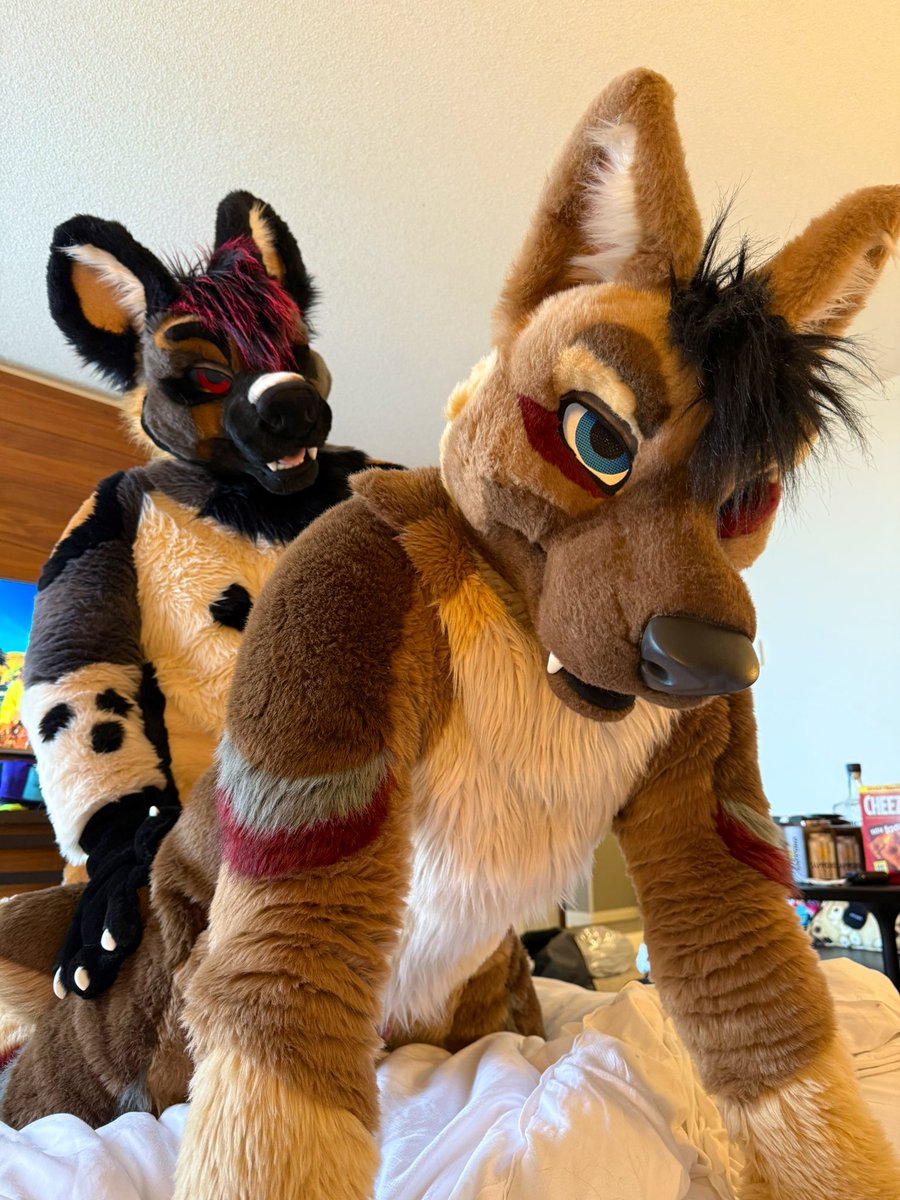 Being nothing but good boys 😇