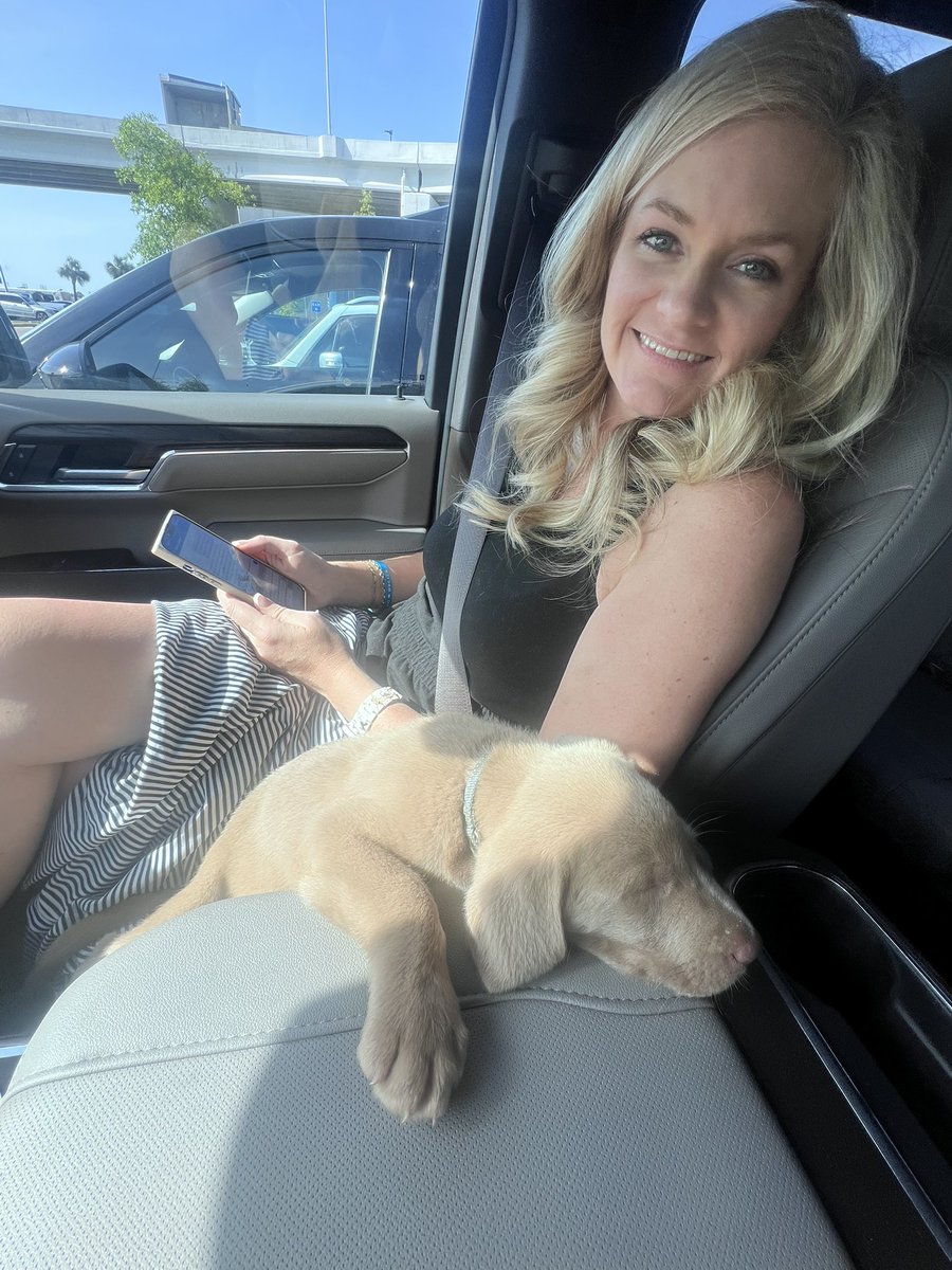 ThejbakerERA's tweet photo. Sending this cutie to NY 🛫…the puppy not @LaurenFBaker ⬇️ She already got that trip in 25’!! #SilverLabs #MoreAvailable https://t.co/mKwog03VYq