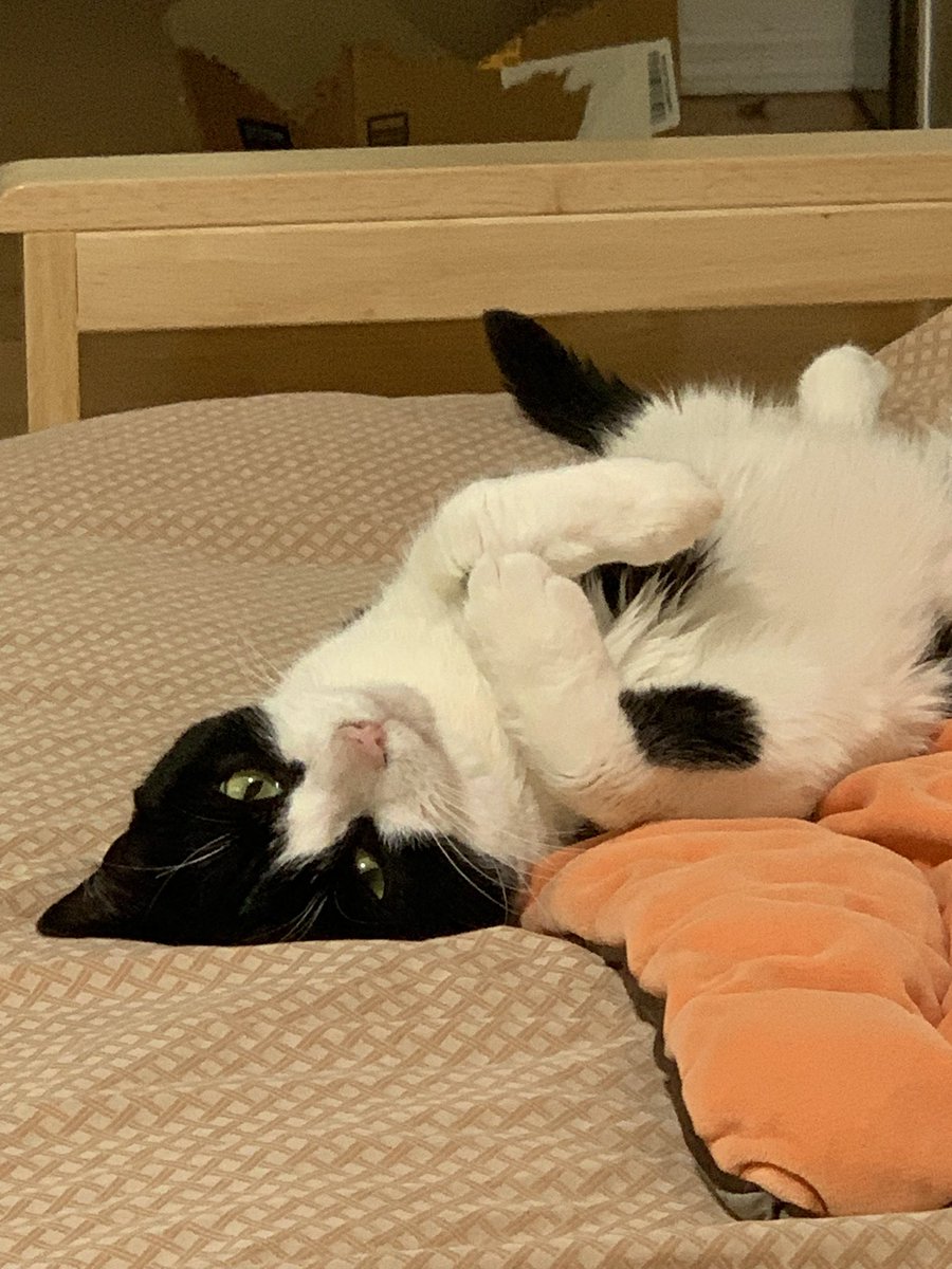 NOT a serial killer.