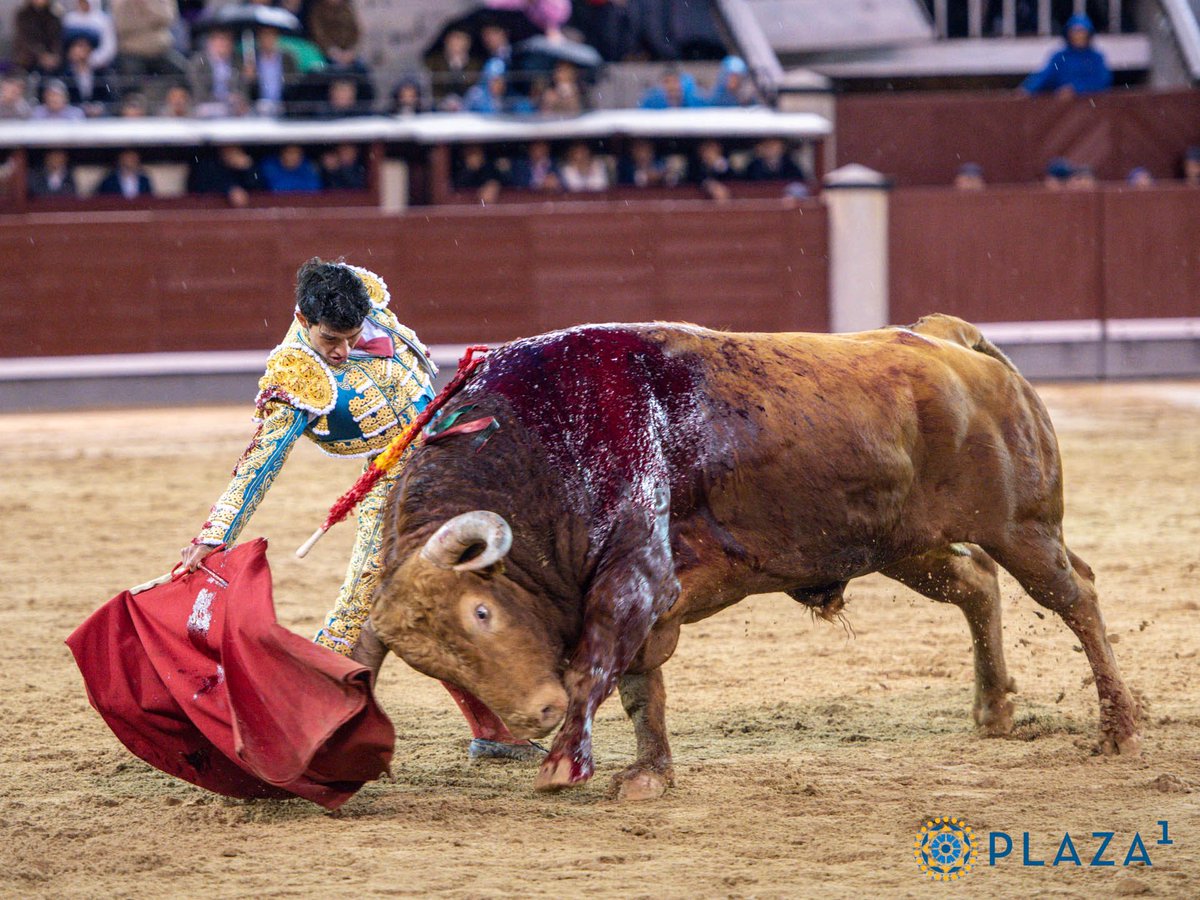 Javier Lorenzo (@javierlorenzomv) on Twitter photo 🔹 MADRID. 5ª de abono. San Isidro 2025.
👉 Brigadier corona a <a href="/pedrazadyeltes/">Pedraza de Yeltes</a> en <a href="/LasVentas/">Plaza de Las Ventas</a>
🔗 whatsapp.com/channel/0029Va… 🔹 MADRID. 5ª de abono. San Isidro 2025.
👉 Brigadier corona a <a href="/pedrazadyeltes/">Pedraza de Yeltes</a> en <a href="/LasVentas/">Plaza de Las Ventas</a>
🔗 whatsapp.com/channel/0029Va…