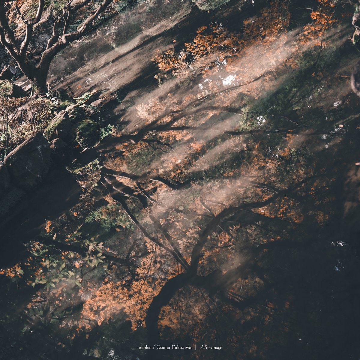 【ご予約受付中♬】

re:plus, Osamu Fukuzawa / Afterimage -LP-

俊才トラックメイカーと気鋭プロデューサーによるローファイ・インスト・アルバムがLP化!

soundchannel.shop-pro.jp/?pid=186552525

┄┄┄┄┄┄┄
#レコード #買取 #盛岡 #山形 #東北
#岩手 #青森 #秋田 #宮城 #福島
┄┄┄┄┄┄┄