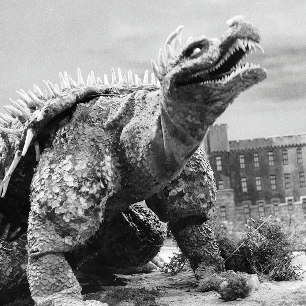 RagoneAugust's tweet image. This awesome shot was captured during the production of GODZILLA RAIDS AGAIN (Gojira-no Gyakushu, 1955), released 70 years ago on April 24, 1955. We love you, Anguirus/Angilas! You're not getting older, you're getting better! #Anguirus #Angilas #Godzilla #GodzillaRaidsAgain