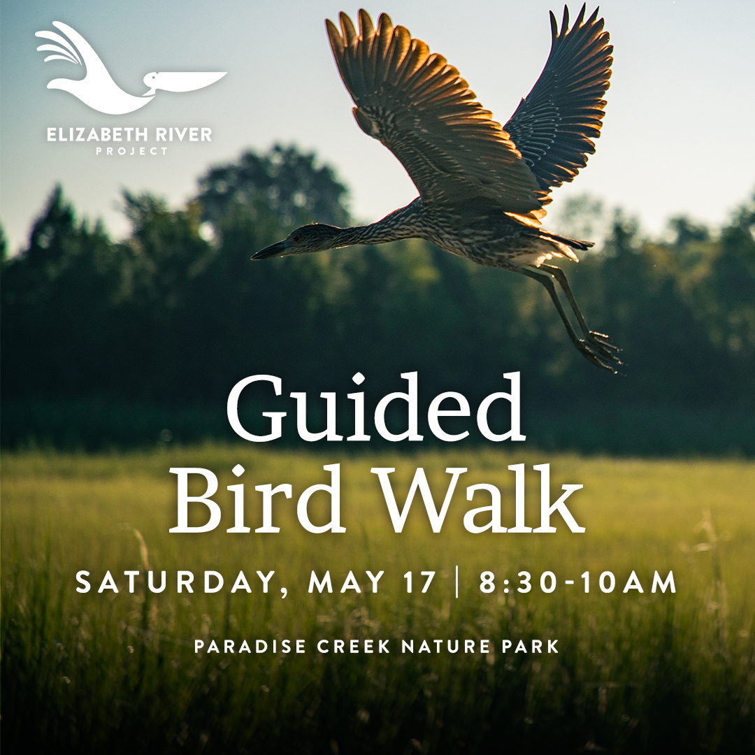 Join us on May 17th for a free guided bird walk at Paradise Creek Nature Park! Birding is a wonderful way to connect with nature, reduce stress, improve your mood, and boost your brain power. Learn more, and register today to reserve your spot: brnw.ch/21wSENj