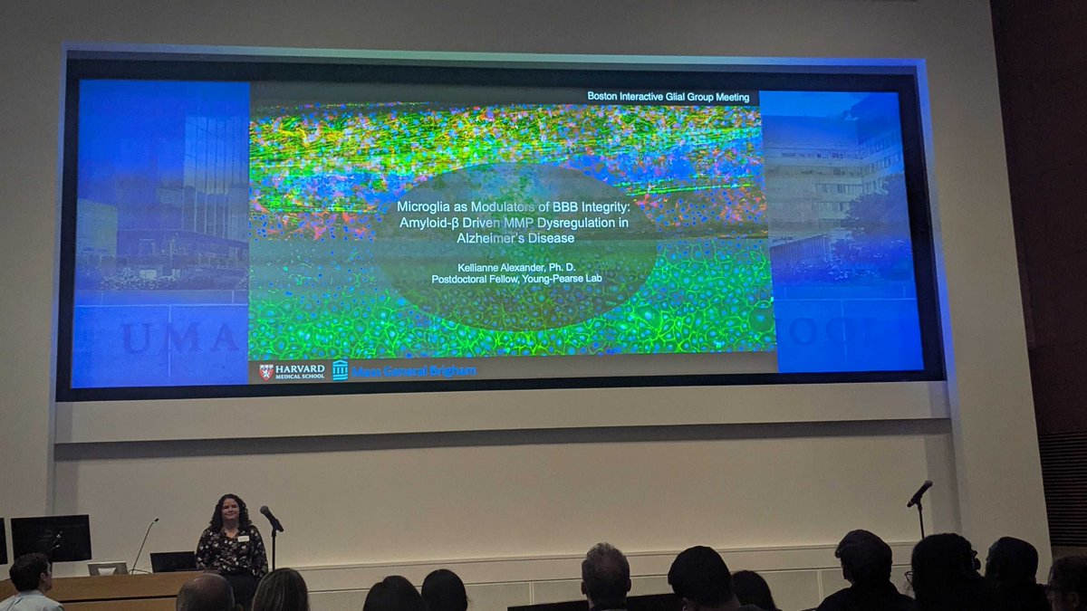 YoungPearseLab's tweet image. TYP-ers attended the BIGG meeting at UMass on Monday, and had a great time presenting talks and posters! PhD student @GizemTerzioglu_ & postdoc Kellie gave amazing short talks, Master's student @emma_601_emma & postdoc @Heuerwego got great poster traffic!