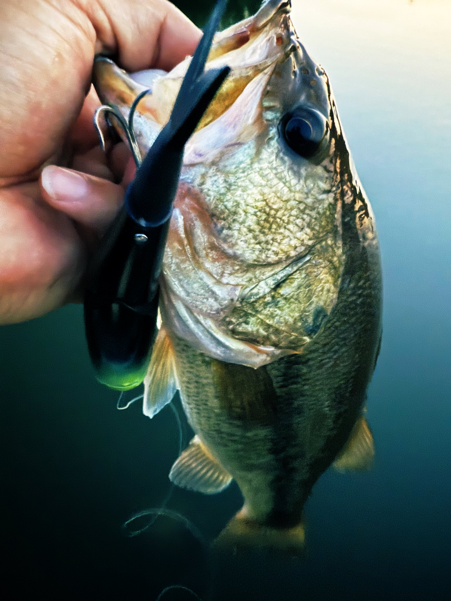 BUTZ (@BUTZbassfishing) / X
