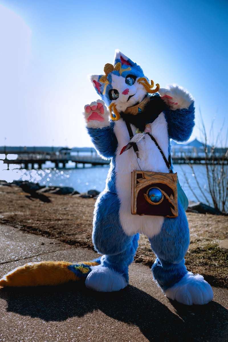 Nargaccino's tweet photo. Today is the ‘stay mad lmao’ day
The best magical kitty 💙
#yuumi 
📷:erikwphotography https://t.co/ggvunkDMmu