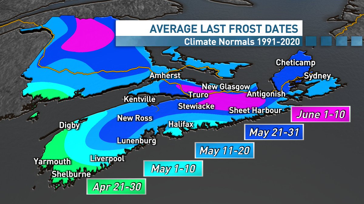 ryansnoddon's tweet image. Does this nice weather have you thinking about getting your hands dirty in the garden?
You might want to think twice before planting those frost sensitive plants just yet.
My latest:
cbc.ca/news/canada/no…
#nswx #nbwx