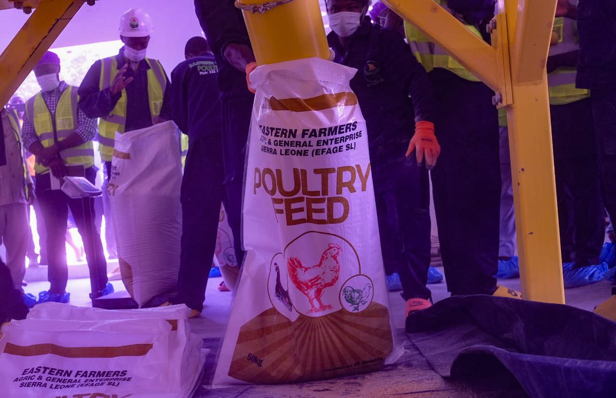 Henry Musa Kpaka (@hmkpaka) on Twitter photo This afternoon, H.E. President <a href="/julius_maadabio/">Julius Maada Bio</a>’s cabinet approved a major boost to the poultry sector. Among its measures: one locally produced egg per child (ages 3–6) will be provided daily through the MBSSE school feeding program.
This is a game-changer.
It will drive up This afternoon, H.E. President <a href="/julius_maadabio/">Julius Maada Bio</a>’s cabinet approved a major boost to the poultry sector. Among its measures: one locally produced egg per child (ages 3–6) will be provided daily through the MBSSE school feeding program.
This is a game-changer.
It will drive up