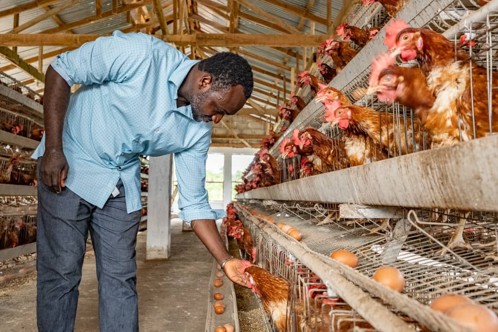 Henry Musa Kpaka tweet media